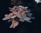 彼の本音は？ 忘れられない恋 復縁の可能性を視ます ブロック･音信不通･複雑愛 魂のご縁まで深く鑑定します イメージ7