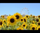 普通の写真をチェキ風写真に加工します 現役女子高校生が普通の写真一枚をチェキ風写真に加工します! イメージ1