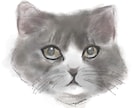 水彩タッチ:ペットの優しい雰囲気を絵に残します 大切な家族であるペットの表情を、心を込めて描きます！ イメージ3