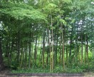 どんなお話もお聴きします 家庭や職場、人間関係のお悩みや雑談まで何でもお聴きします イメージ1