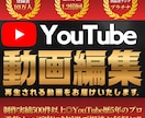 丸投げ可◎プロがYouTube横動画を編集します 元登録者10万人越えYouTube編集者&丁寧かつ即レス対応 イメージ1