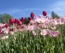 ちょっとした悩みから大きな悩みまで受け止めます あなたにとっての「誰か」でありたい。心の拠り所にしてください イメージ1