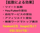Twitterフォロワー2000人〜増加します Twitterフォロワー宣伝します！フォロワー増加確実！ イメージ3