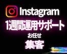 インスタグラム【一週間】運用サポートします 日本人フォロワーへいいね等のアプローチ【SNS拡散・宣伝】 イメージ1