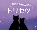 トリセツ＊あの人の「アレコレ」みます ボリューム鑑定＊知ればみえてくるあなたとあの人の関係づくり イメージ1
