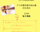 限定価格 弾き語り初心者Q &APDFお渡します 【路上ライブに出たい人必見！】 イメージ1