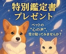 飼っているペットの心の声を読み解きます ⭐︎鑑定書付き⭐︎“あの子の声”を感じるスピリチュアル占い イメージ1