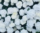 夫婦・恋愛・秘密・心の孤独・怒/否定せず傾聴します 元航空会社10年&夜職No.3/25カ国旅の2児ママ イメージ7
