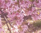 歌詞制作します 貴方のイメージに近い歌詞・詩制作いたします イメージ1
