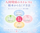 人間関係ストレスを根本からなくす方法を教えます / お金を稼ぐためだけの仕事から逃れ、夢の実現を応援！ イメージ1