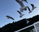 記事作成全般お任せください。宜しくお願いします ライターとして自分の知識経験を生かして、尽力いたします。 イメージ1
