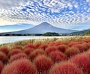 運勢鑑定の完全版！あなたの今年の運気を全て占います 2026年の金運/仕事運/恋愛運/家族運…霊視で全部教えます イメージ2