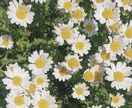 心のモヤモヤ一緒に晴らします 知らない人に話を聞いてほしい時、是非心の拠り所にして下さい イメージ1