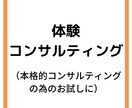 体験コンサルティングを提供します いきなり本格的なコンサルティングに入る前に体験した方へ イメージ1