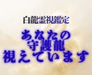 白龍霊視│あなたの守護龍と霊的加護を視ます あなたを守る存在が、今何を伝えたいか視えます イメージ1