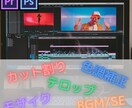 低価格/高品質で動画編集、承ります 元動画5分以内/2,000円～ ジャンルは問いません！ イメージ1