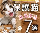 猫instagramの投稿や広告画像制作します ねこに特化！イメージに寄り添い丁寧にデザイン制作いたします！ イメージ1