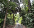 今すぐ話したい！１分だけでもお話お聴きします 20代男の元教員、うつ病経験あり優しくお話できたらと思います イメージ5