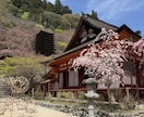 奈良旅行のプラン作成します 奈良公園と東大寺だけじゃもったいない。特別な「なら旅」の提案 イメージ2