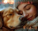 寝る前のほっと一息お付き合いします ～ちょっとした話、愚痴、癒しの雑談部屋～ イメージ1