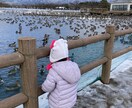 子連れで旅行の計画立てます 予算内で最高な思い出創りませんか？ イメージ6