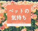 今のペットの気持ちや天国からもメッセージ伝えます 今の子も天国の子も気持ちを丁寧に届けます イメージ2