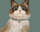 猫さんの似顔絵描きます 絵本の様な、油画・日本画の様なデジタルイラストです。 イメージ1