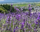 ７月迄お試し価格★北海道観光★１週間チャットします 広すぎる北海道をどうまわる？ドライブ狂いの北海道民が承ります イメージ1