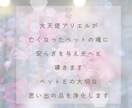 ペットの魂を大天使アリエルが癒し光へ導きます 遠隔ヒーリング★大天使から飼い主様へメッセージもお伝えします イメージ2