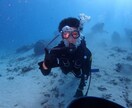 オススメの旅行プラン一緒に考えます 旅行が大好きな自分と旅行の計画してみませんか？ イメージ4