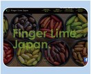 予算・スケジュールに応じて、Webサイト作ります 低コストでWebサイトを作りたい方、ご相談ください！ イメージ6