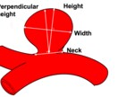 medical illustratorやります 広告・論文や学会発表用のイラスト作成します イメージ1