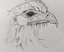 世界に一つだけのかっこいいデッサン似顔絵を描きます 動物人物OK♪インテリアや記念日、プレゼントにも！ イメージ4