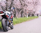 写真の加工します レタッチ、切り抜き、合成など承ります イメージ4