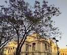 初めてでも安心、メキシコシティの旅ご相談承ります 現地ガイドの情報、ビデオ後に質問1往復つき（プラン作成可） イメージ2