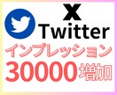X インプレッション3万回まで増やします 見栄えUP・バズ支援に◎最大1億回まで対応可能！ イメージ1