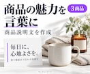 商品の魅力が伝わる説明文を作成します 支給情報を整理して、商品ページ用の文章に イメージ1