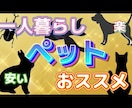 動画編集会社が10月まで格安で動画編集を行います ココナラ新規出店！割引価格でご案内中！ イメージ6