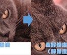 一枚100円で写真をAIの力で高画質、綺麗にします 超激安で解像度の低い画像をAIの力で精細にします！ イメージ4