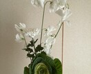 花を生ける時間をご一緒します 花とお話でほっとする、やさしいいけばな体験を イメージ9