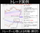 FX 専業の私の手法全てをお伝えします 歯の浮くようなキャッチーな事は言いません。 イメージ8