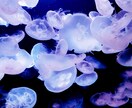 ネガティブからポジティブへ☆全力で受け止めます いつも頑張っているあなたへ♡否定なし⭐️心を癒やして前向きに イメージ10