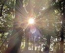 開運画像を販売します 神社やお寺、光、山や川や空、猫の画像で開運のお手伝いします！ イメージ10