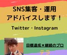 SNS集客・運用アドバイスします Twitter・Instagram イメージ1