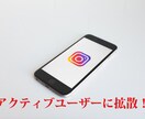 インスタフォロワー1000人増えるまで拡散します 小規模からの注文も可能⭐️1週間の減少保証あり イメージ7
