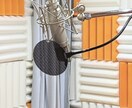 プチキャラ【現役プロ声優】スタジオで収録致します アニメ・ゲーム・CMやTV内のキャラ【商業実績1000～】 イメージ3