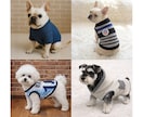 平置き写真からペット着用画像を作成します ペット服販売の商品ページに。平置き写真で作成可能。 イメージ6