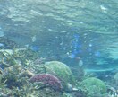 気軽に話してみませんか/あなたの心に寄り添います 傾聴・共感力であなたを笑顔にしたい/心豊かな毎日を応援！ イメージ2