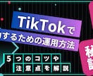 元TikTok社員が正しいSNS運用を教えます 企業アカウントの運用を成功させる方法を教えます イメージ4