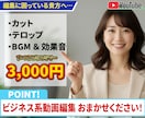 3,000円でYouTube向け動画編集いたします 初回限定 フルテロップ・BGM・効果音等すべてコミコミ価格♪ イメージ1